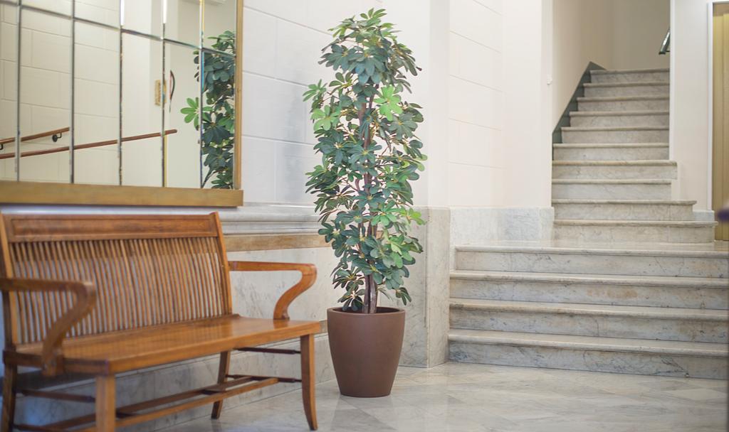 Anakena House Bed & Breakfast Barcelona Eksteriør billede